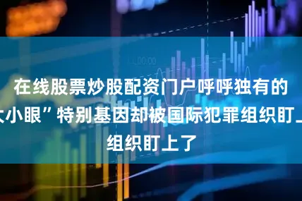 在线股票炒股配资门户呼呼独有的“大小眼”特别基因却被国际犯罪组织盯上了