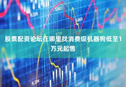 股票配资论坛在哪里找消费级机器狗低至1万元起售